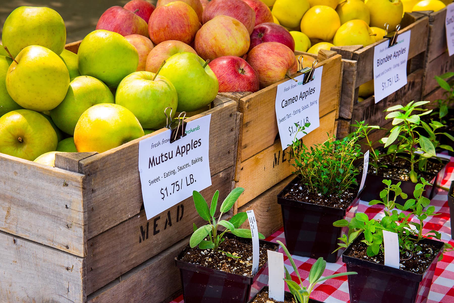Apples and Herbs Detail at Farmers Market