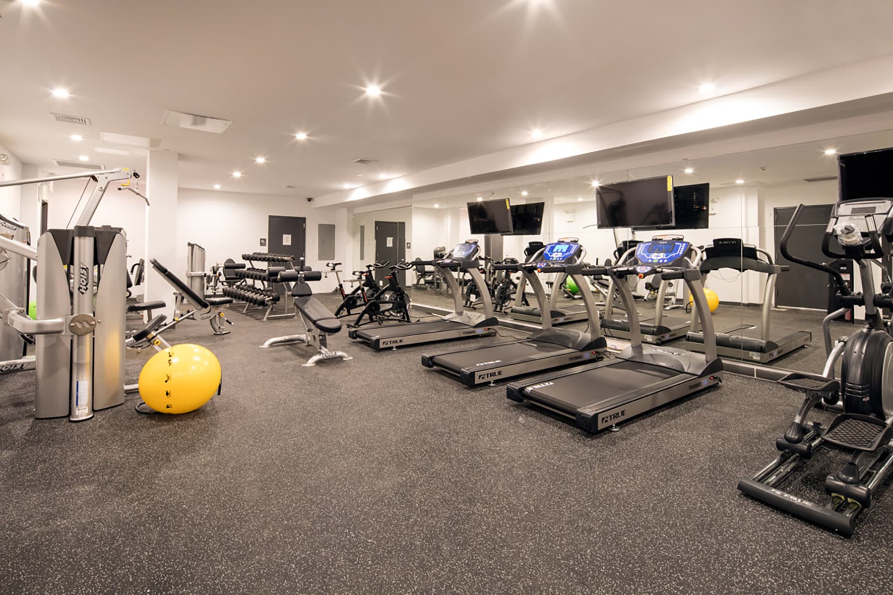 Large Fitness Center with Ample Equipment